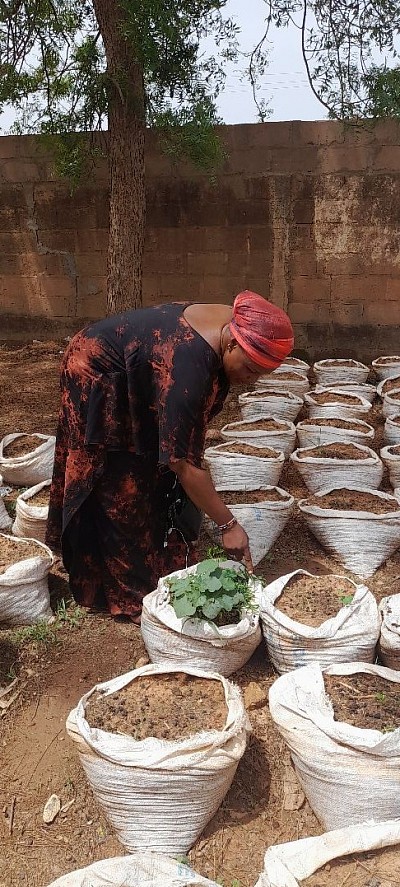 Pot en sac pour la culture hors sol