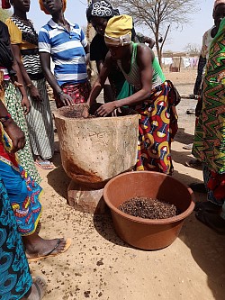 Séance de décorticage des graines de néré